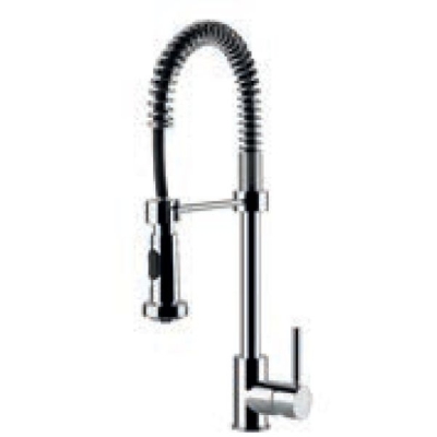 Terasest poolprofessionaalne pöörlev valamusegisti, MPC